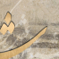 کاغذ دیواری خط W10044
